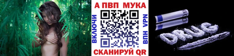 наркошоп  mega зеркало  Alfa_PVP СК  Опочка 