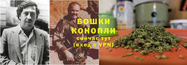 spice Михайлов