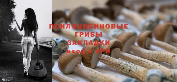 spice Михайлов