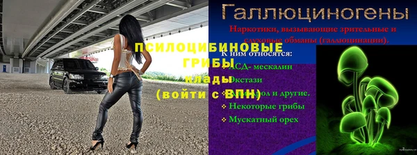 бошки Михайловск