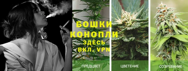 бошки Михайловск
