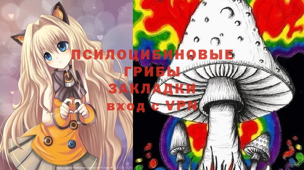 бошки Михайловск