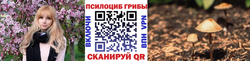 цены наркотик  Опочка  Галлюциногенные грибы мухоморы 
